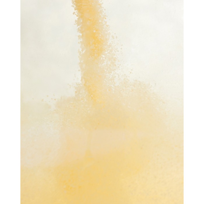 Coconut Glow - Jelly pedi ritual 2x50g